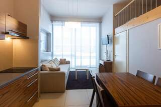 Апартаменты Apartamenty Brzozowa - Centrum Закопане One-Bedroom Apartment with Living Room and Mezzanine-2