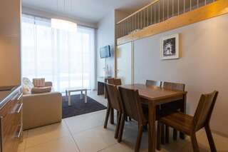 Апартаменты Apartamenty Brzozowa - Centrum Закопане One-Bedroom Apartment with Living Room and Mezzanine-4