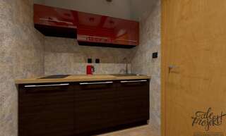 Апартаменты Apartamenty Brzozowa - Centrum Закопане Apartment  Deluxe with Kitchenette-4