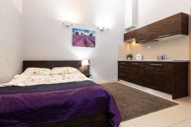 Апартаменты Apartamenty Brzozowa - Centrum Закопане-40